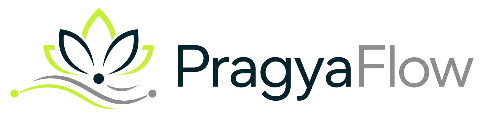 PragyaFlow